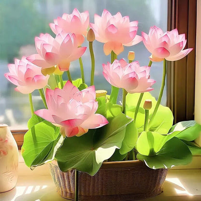 🌸【7 Days Germination】Last Day Sale - 50% OFF💐The Sacred Bonsai Bowl Lotus Flower Seed